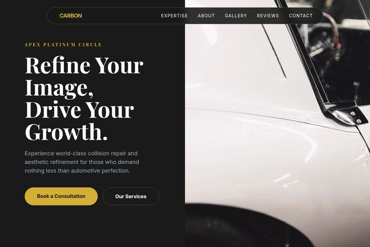 Carbon Auto Body